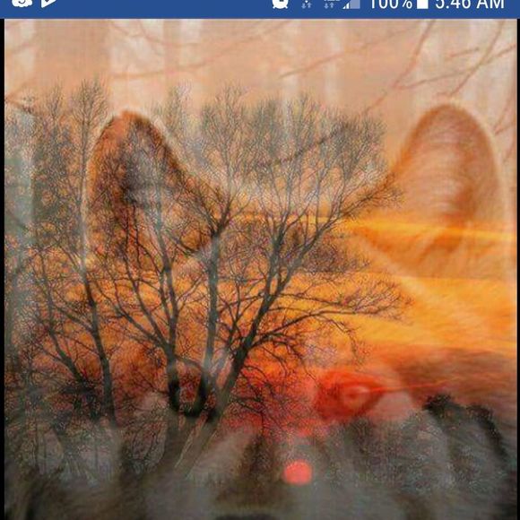 Meet your Posher, Kenneth - Picture 1 of 1